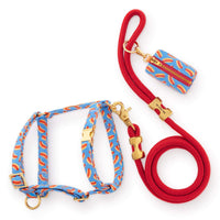Hot Diggity Harness Walk Set from The Foggy Dog