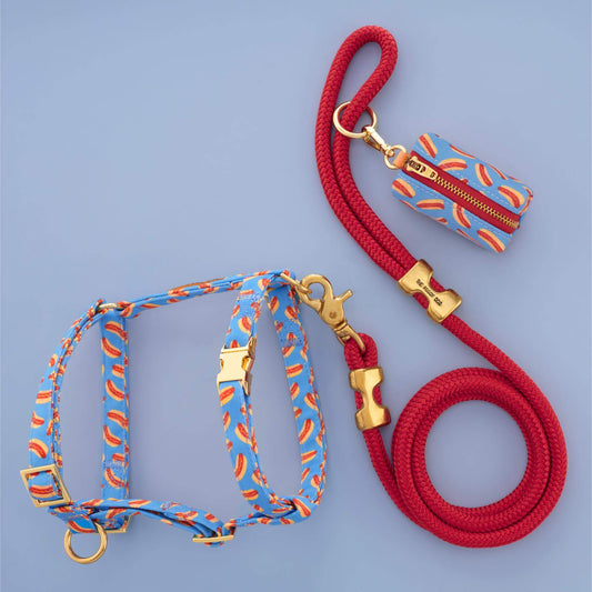 Hot Diggity Harness Walk Set from The Foggy Dog