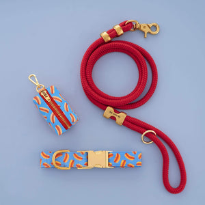 Hot Diggity Collar Walk Set from The Foggy Dog