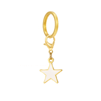 White Star Collar Charm from The Foggy Dog