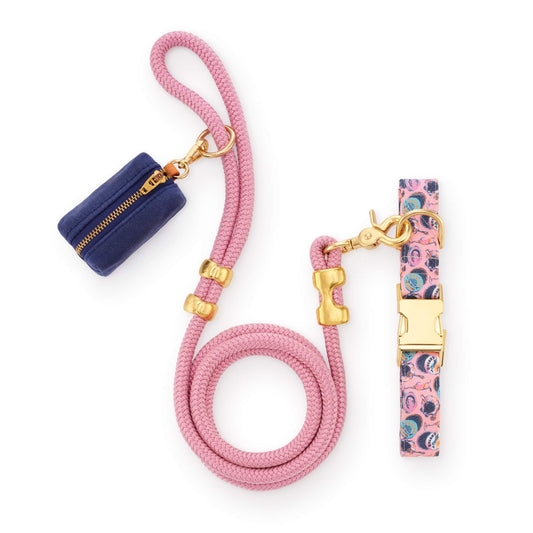 Printfresh x TFD Champagne & Caviar Collar Walk Set from The Foggy Dog