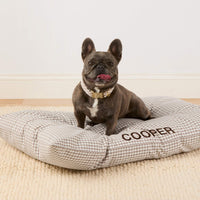 #Modeled by Kora (19lbs) on Large