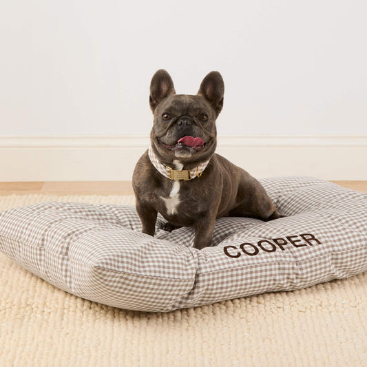 #Modeled by Kora (19lbs) on Large