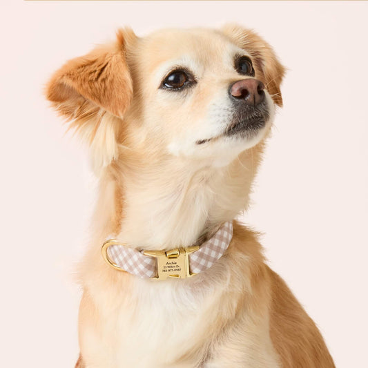 #Modeled by Fauna (14lbs) in Small