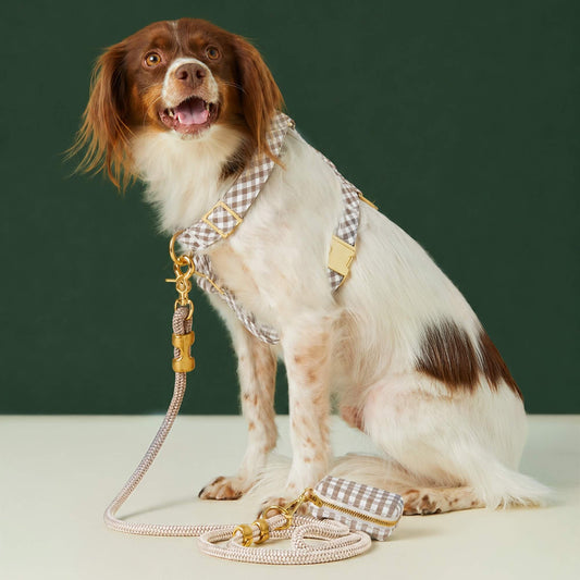 #Modeled by Ollie (23lbs) in a Medium harness and Standard leash