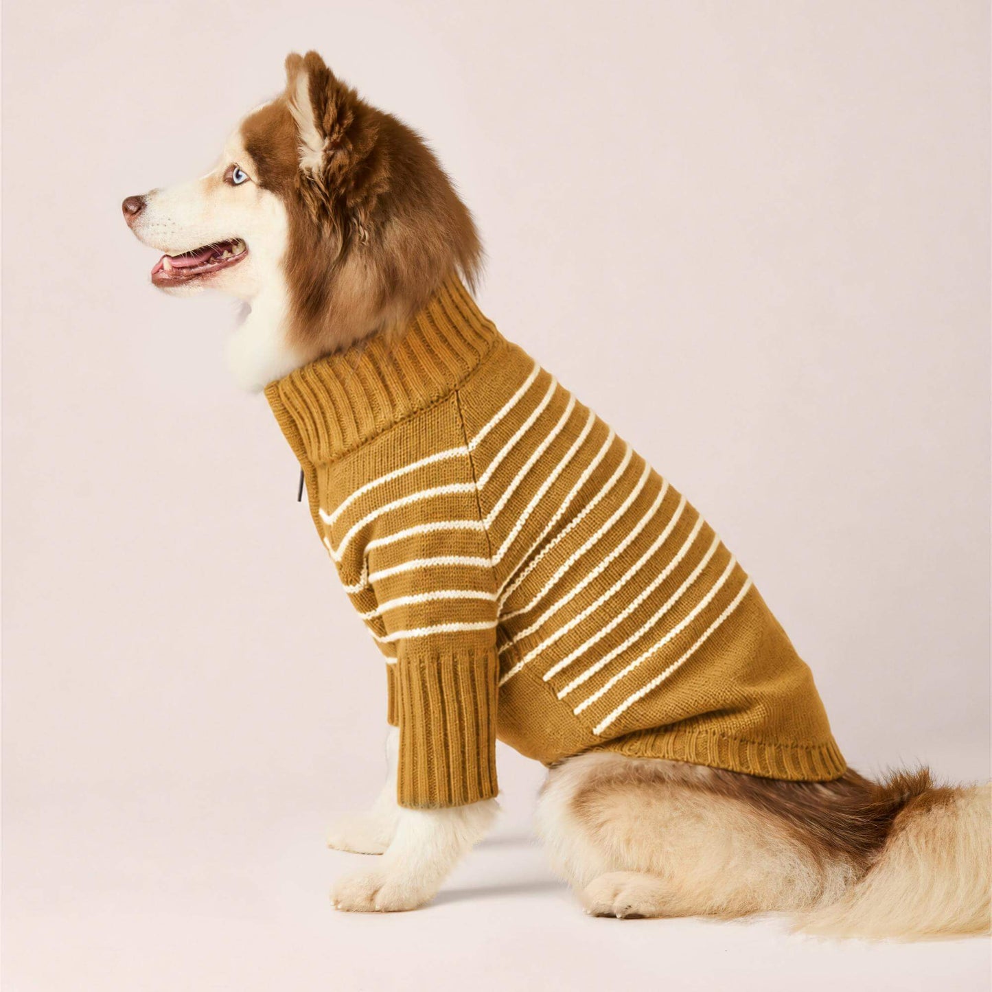 #Modeled by Rouka (36lbs) in Medium
