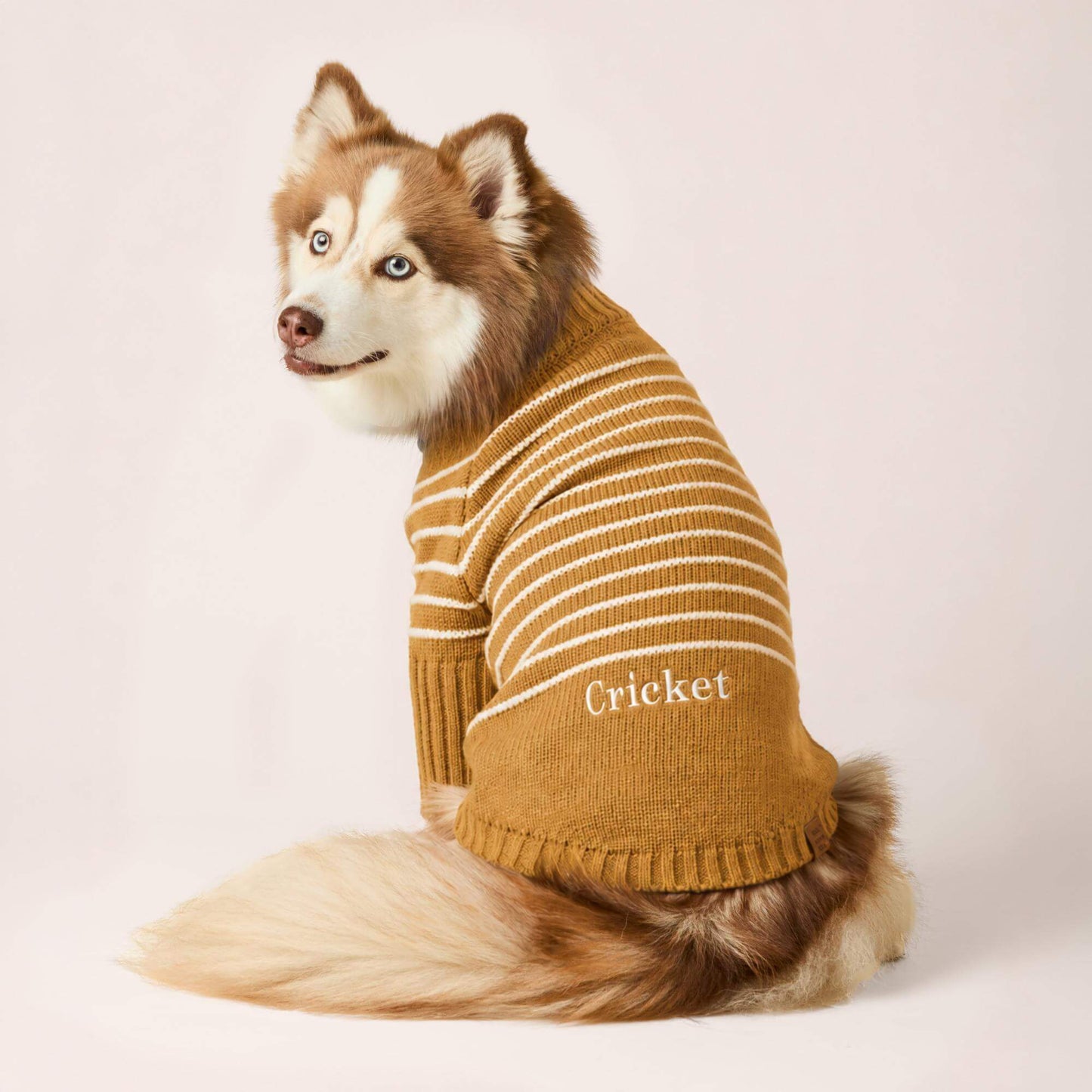 #Modeled by Rouka (36lbs) in Medium