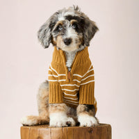 #Modeled by Blue (15lbs) in Small