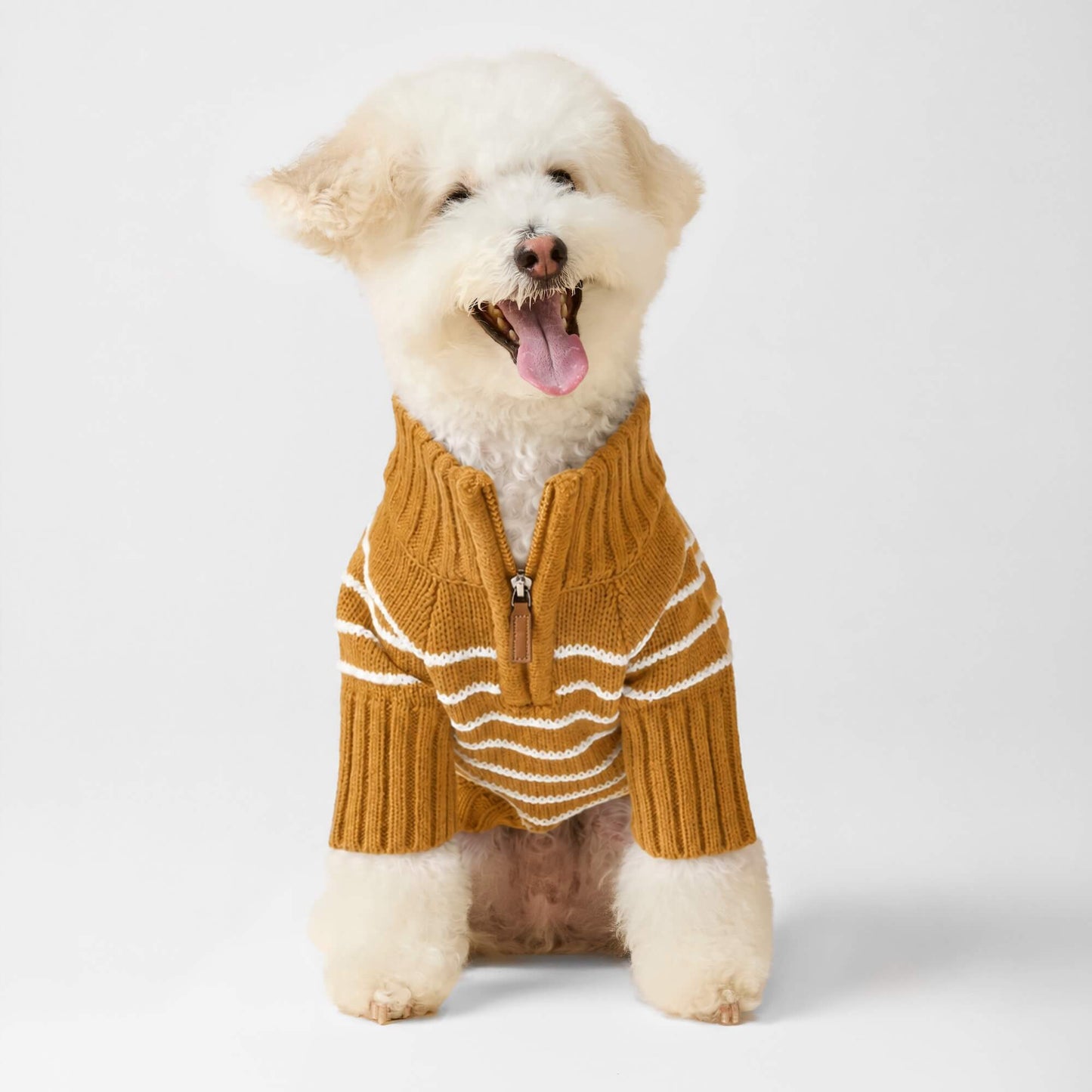 #Modeled by Mochi (14lbs) in Small