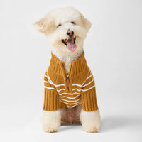 #Modeled by Mochi (14lbs) in Small