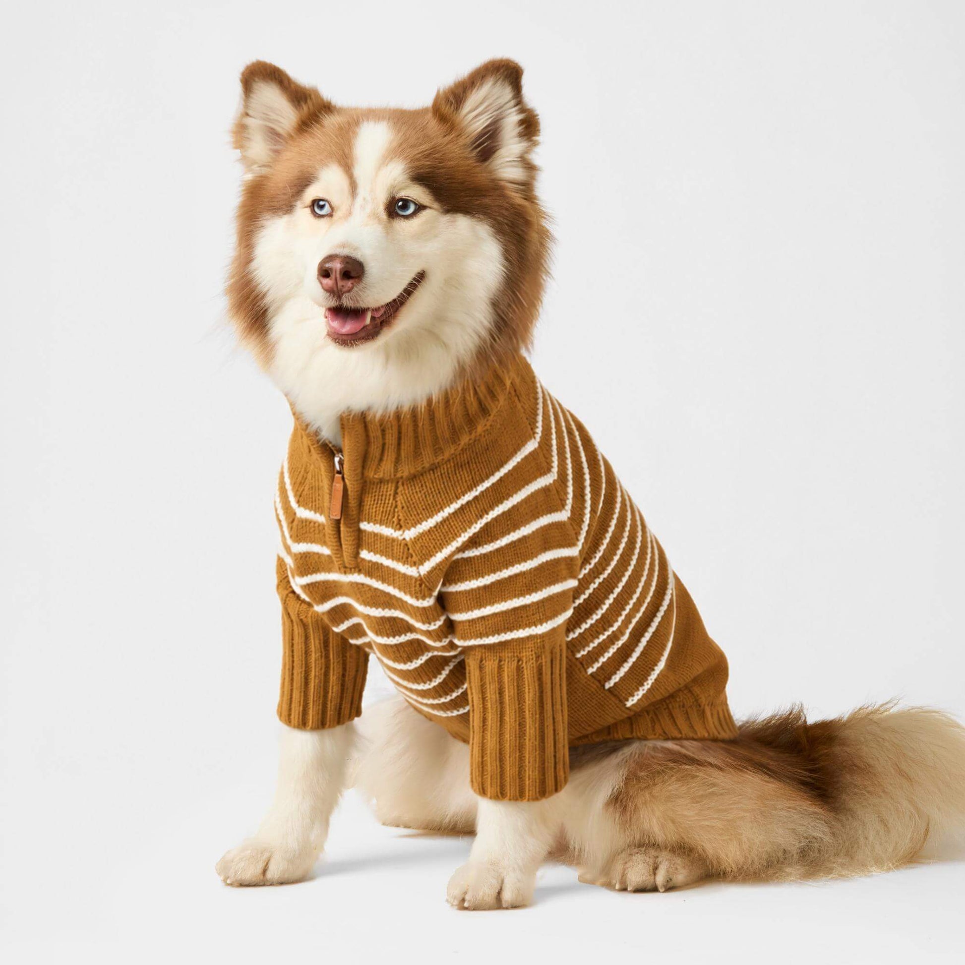 #Modeled by Rouka (36lbs) in Medium