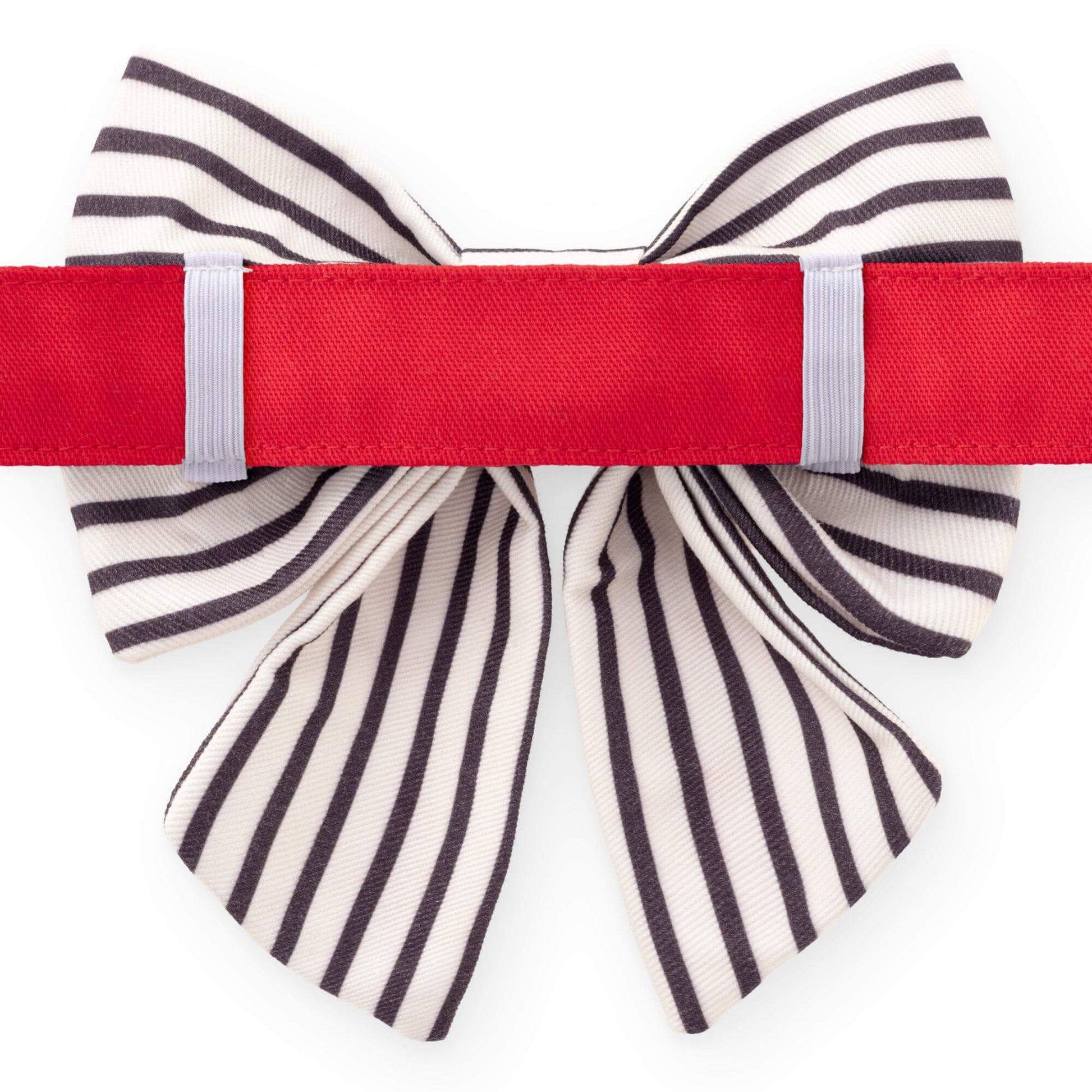 Anchor Embroidered Lady Bow Collar from The Foggy Dog