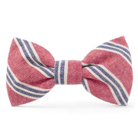 Nantucket Stripe Dog Bow Tie from The Foggy Dog