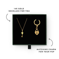 Key to My Heart Necklace and Collar Charm Set view 3