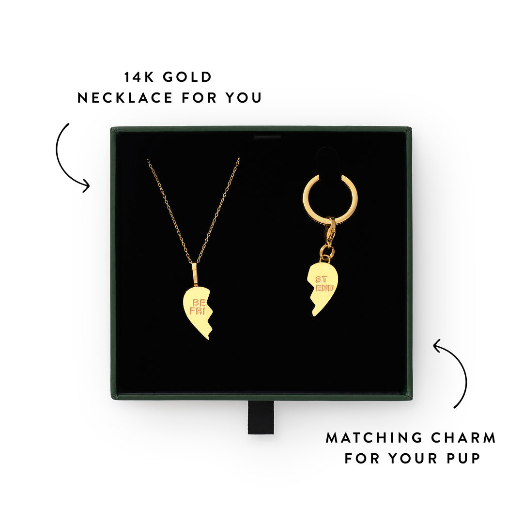 Best Friends Furever Necklace and Collar Charm Set view 3