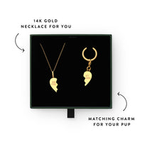 Best Friends Furever Necklace and Collar Charm Set view 3