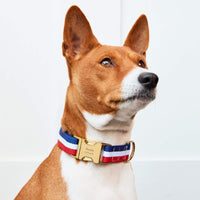 #Modeled by Ricky (27lbs) in Medium