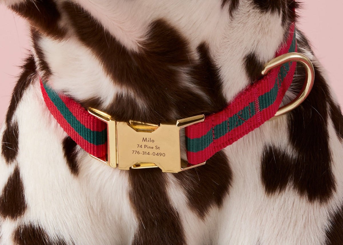 Noel Striped Webbing Dog Collar from The Foggy Dog