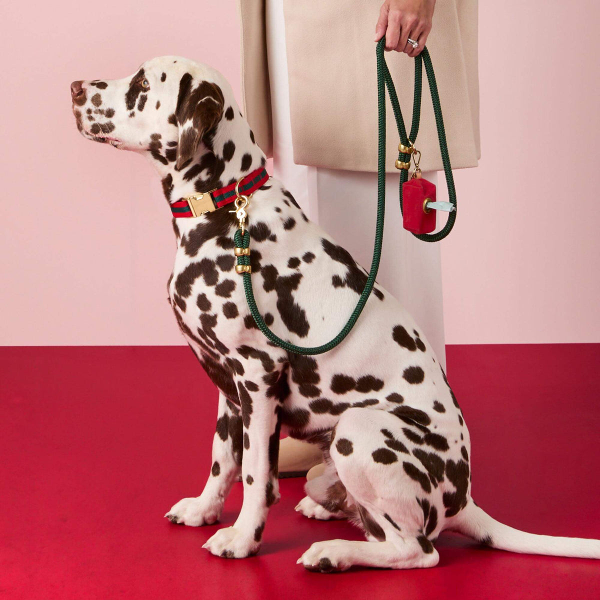 #Modeled by Milo (60lbs) in a Medium collar and Standard leash