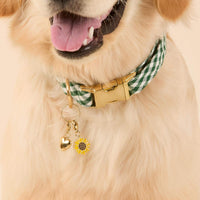 Love in Bloom Collar Charm Set from The Foggy Dog