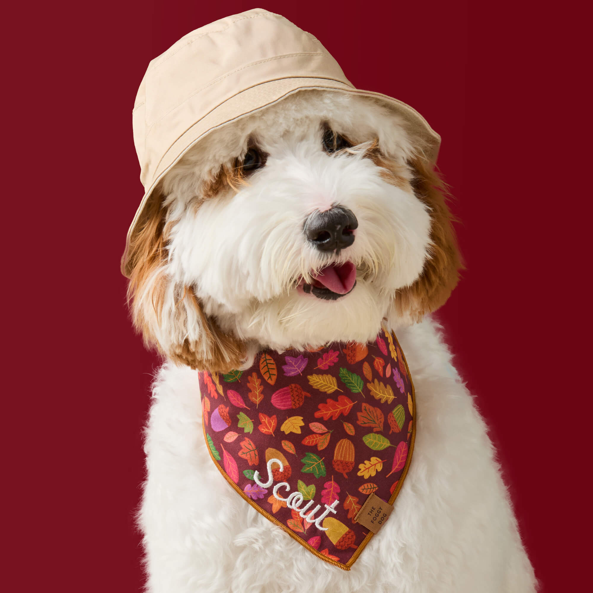 #Modeled by Sambal (25lbs) in Medium