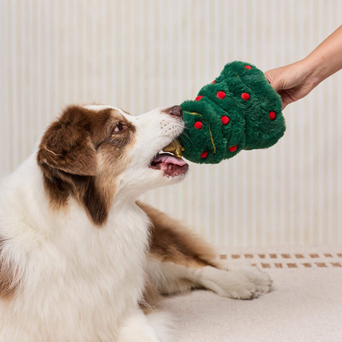O Christmas Tree Interactive Snuffle Dog Toy from The Foggy Dog
