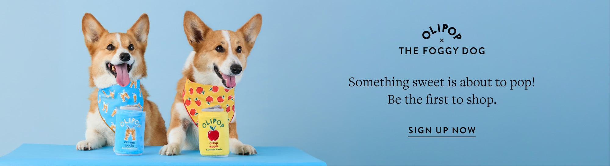 OLIPOP x The Foggy Dog. Something sweet is about to pop! Be the first to shop.