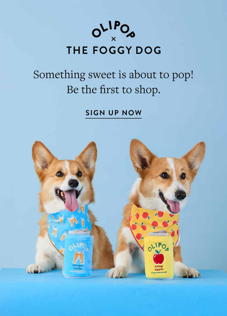 OLIPOP x The Foggy Dog. Something sweet is about to pop! Be the first to shop.