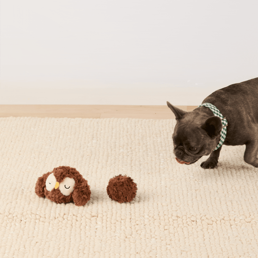Owl 2-in-1 Bounce Dog Toy from The Foggy Dog