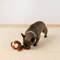 Owl 2-in-1 Bounce Dog Toy from The Foggy Dog