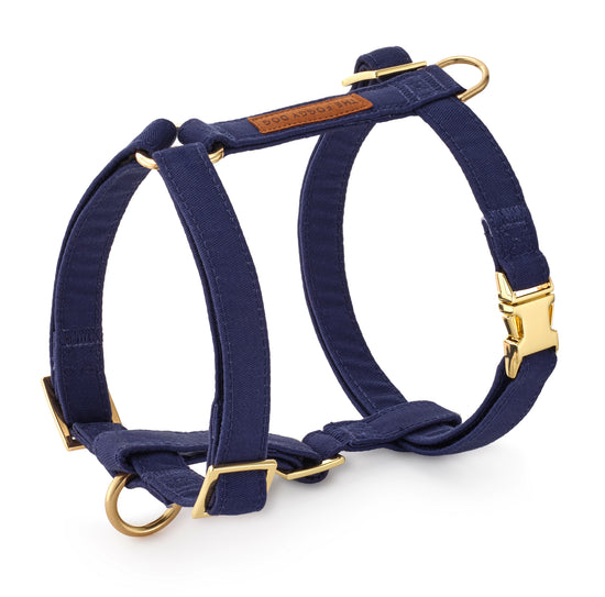 Ocean Dog Harness from The Foggy Dog