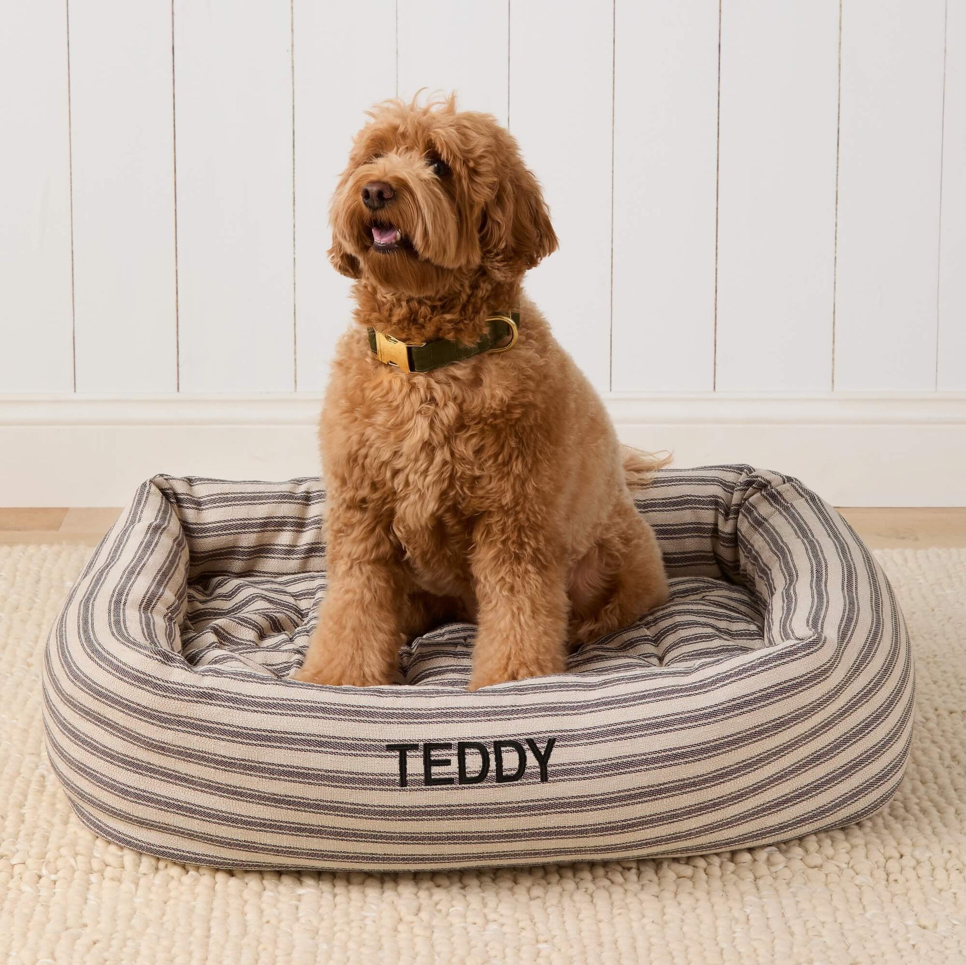 #Modeled by Poppy (20lbs) in Large