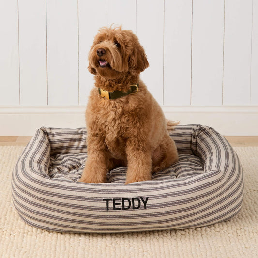 #Modeled by Poppy (20lbs) in Large