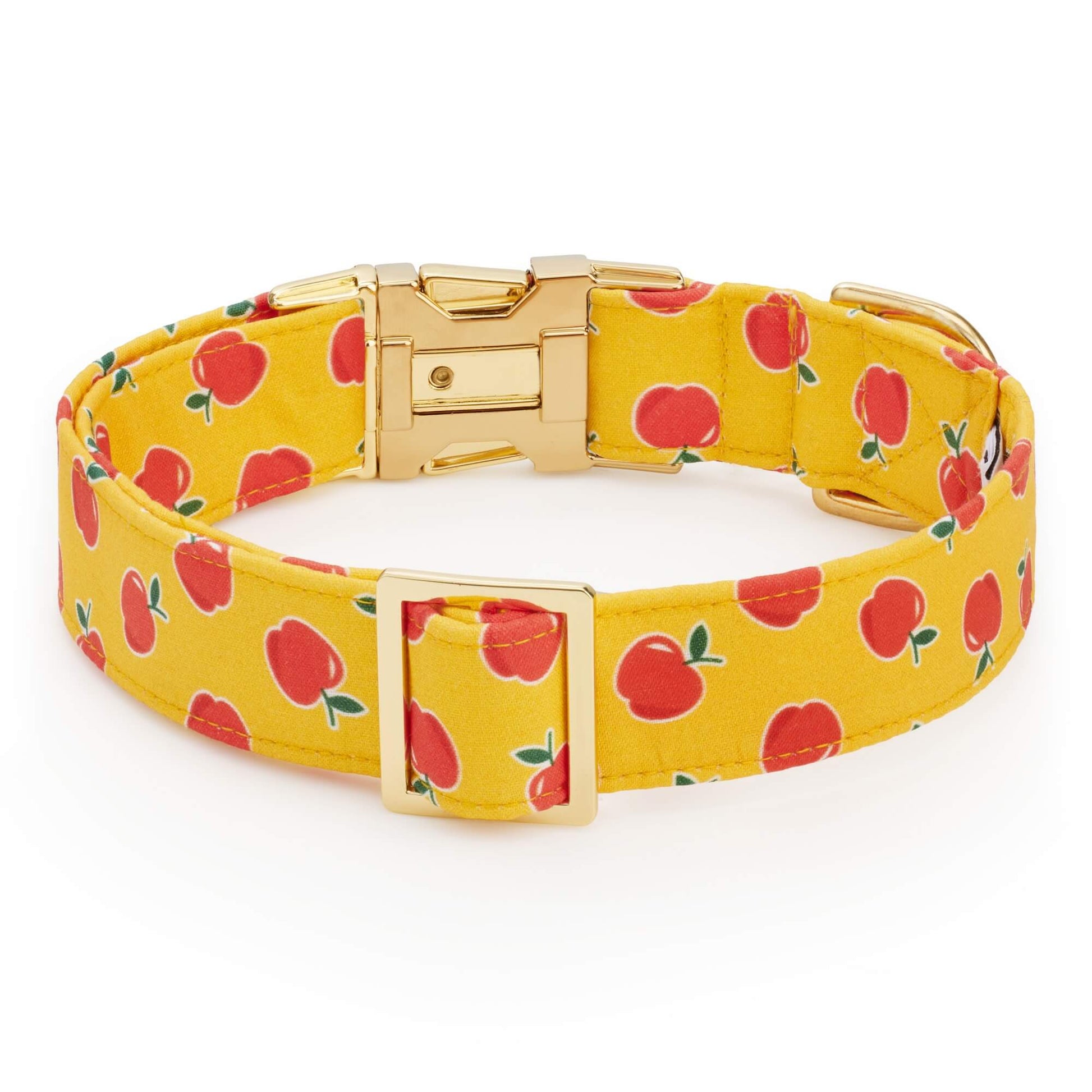 OLIPOP x TFD Crisp Apple Dog Collar from The Foggy Dog