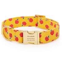 OLIPOP x TFD Crisp Apple Dog Collar from The Foggy Dog