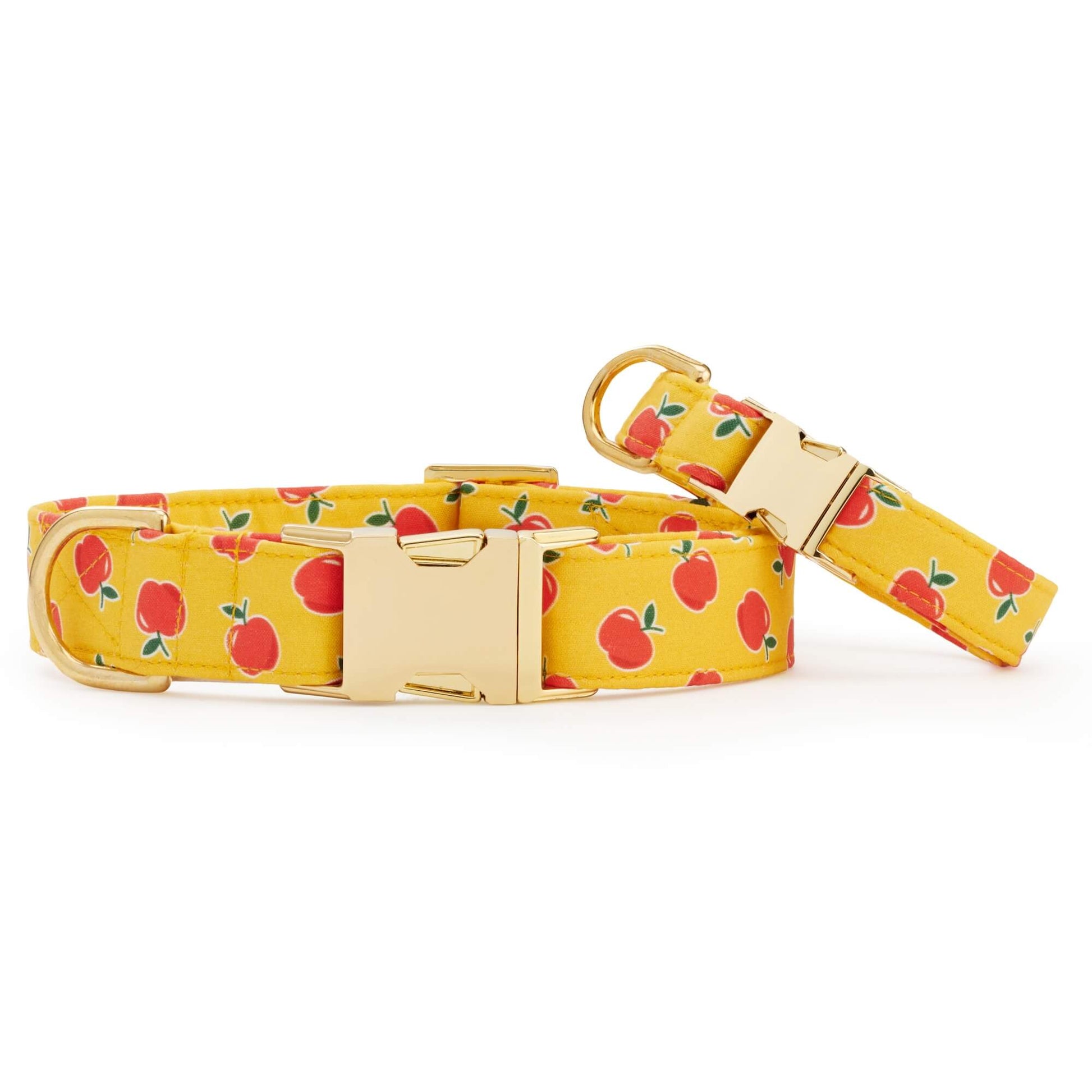 OLIPOP x TFD Crisp Apple Dog Collar from The Foggy Dog
