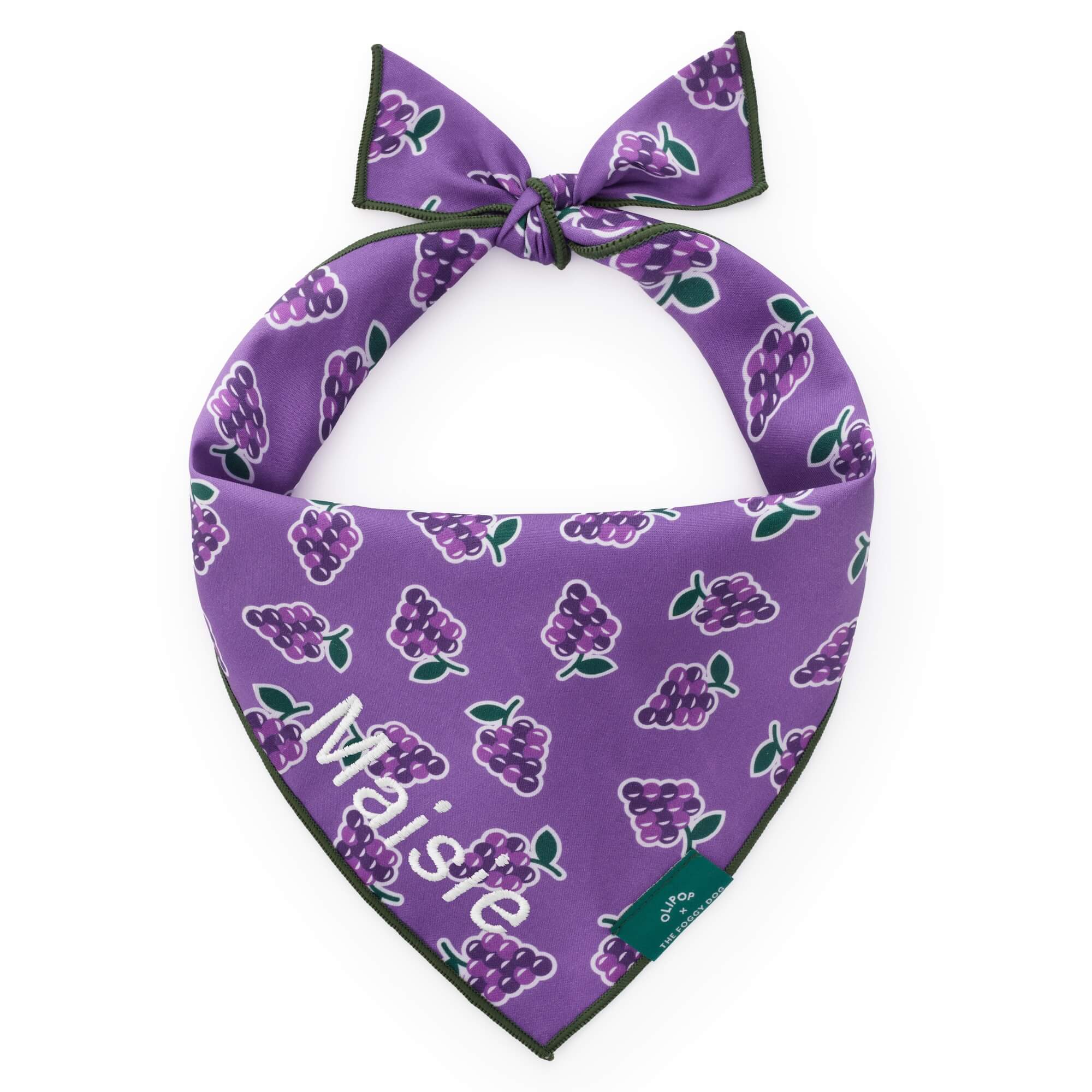 OLIPOP x TFD Classic Grape Dog Bandana – The Foggy Dog