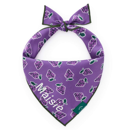 OLIPOP x TFD Classic Grape Dog Bandana from The Foggy Dog