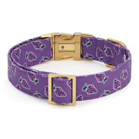 OLIPOP x TFD Classic Grape Dog Collar from The Foggy Dog