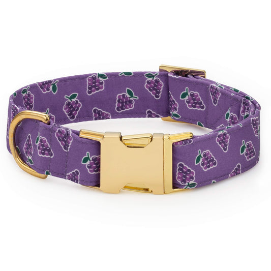 OLIPOP x TFD Classic Grape Dog Collar from The Foggy Dog