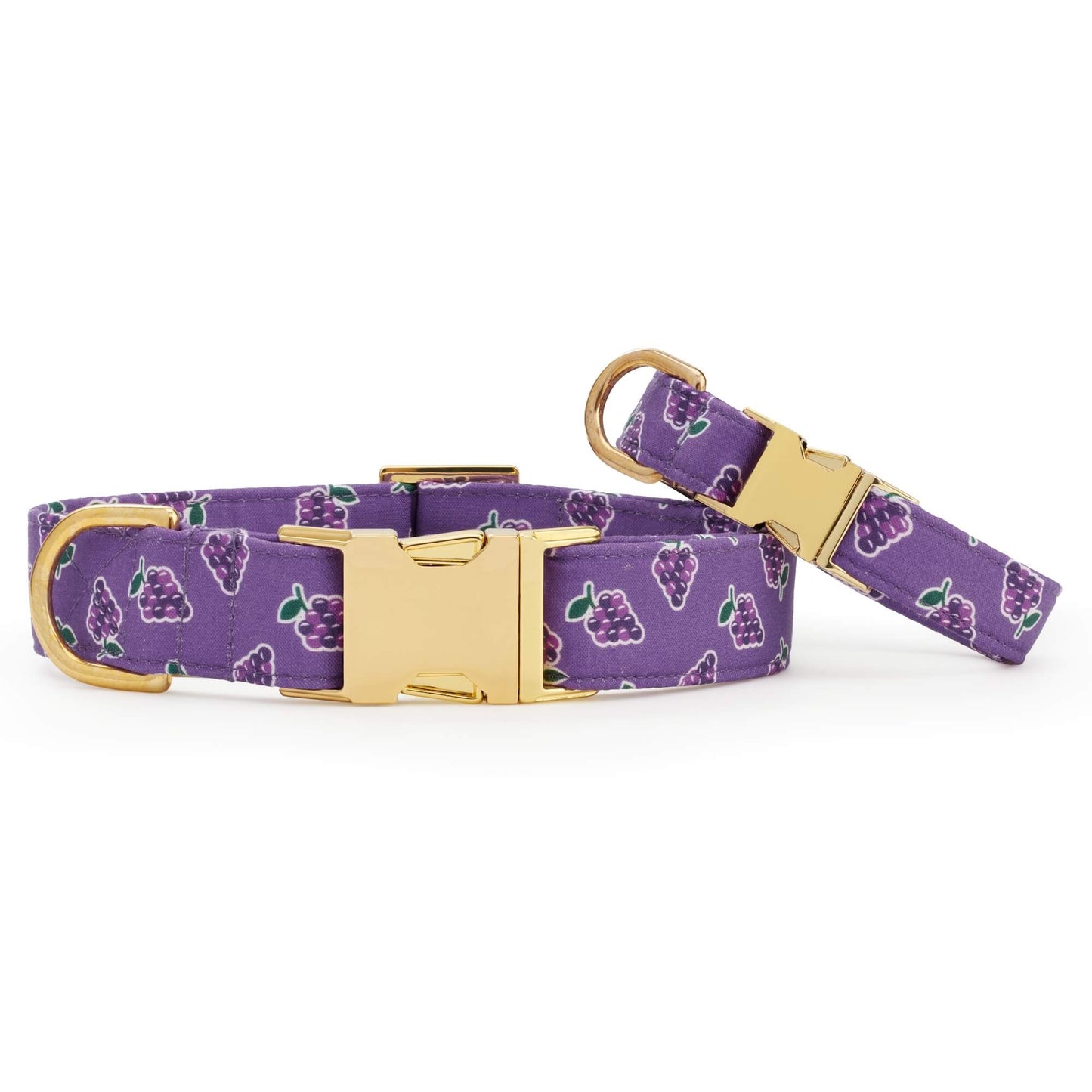 OLIPOP x TFD Classic Grape Dog Collar from The Foggy Dog