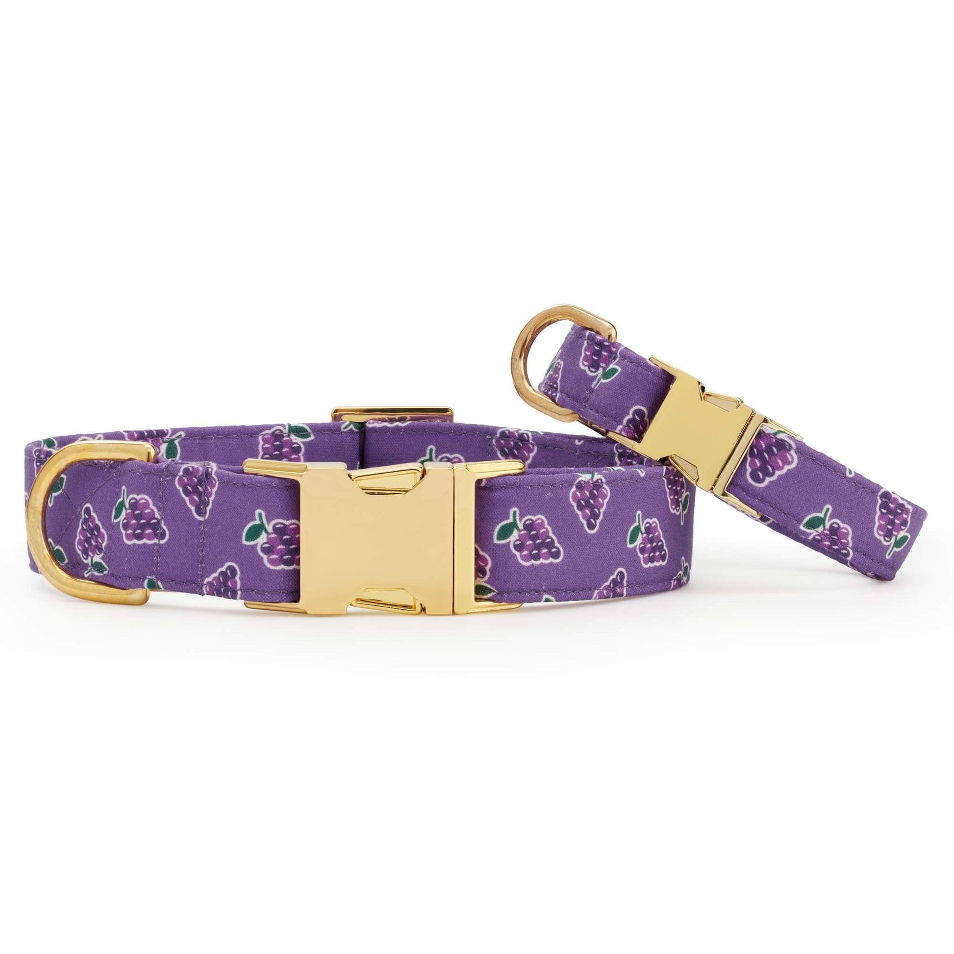 OLIPOP x TFD Classic Grape Dog Collar from The Foggy Dog