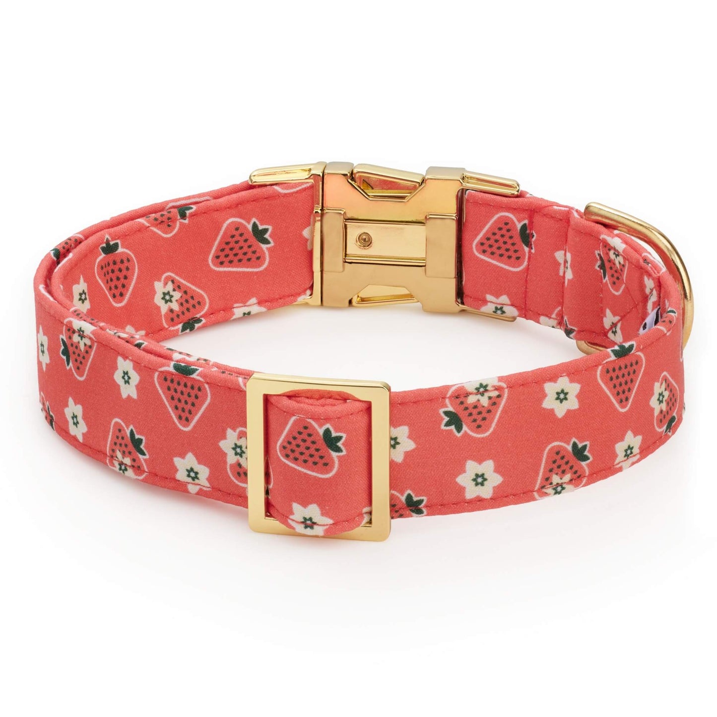 OLIPOP x TFD Strawberry Vanilla Dog Collar from The Foggy Dog