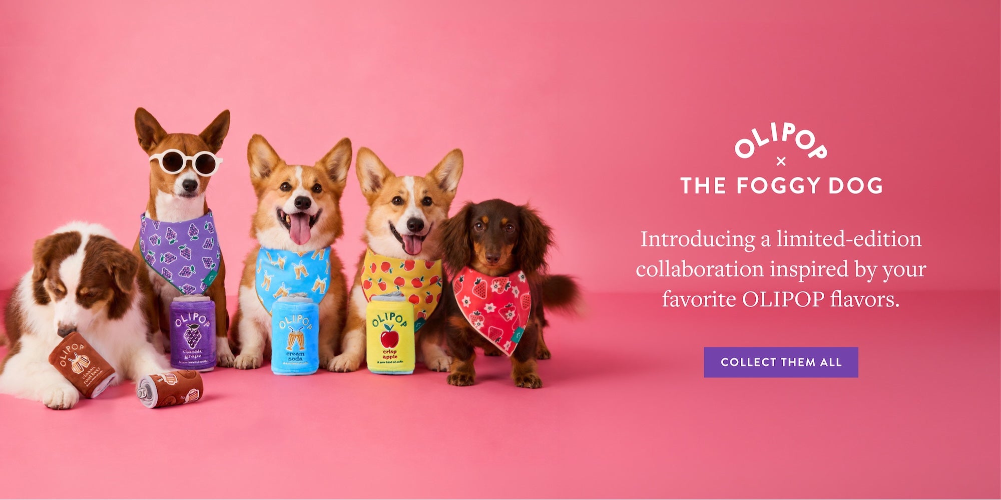 Olipop x The Foggy Dog. Introducing a limited-edition collaboration inspired by your favorite OLIPOP flavors. COLLECT THEM ALL