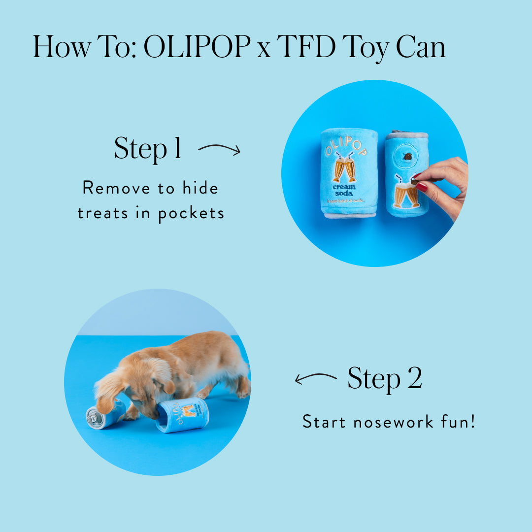 OLIPOP x TFD Cream Soda Interactive Snuffle Dog Toy from The Foggy Dog