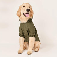 #Modeled by Peanut (40lbs) in Large