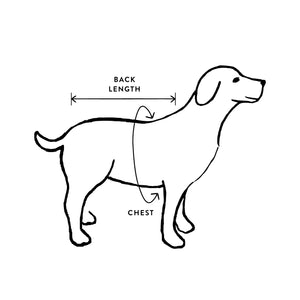 Size Chart – The Foggy Dog