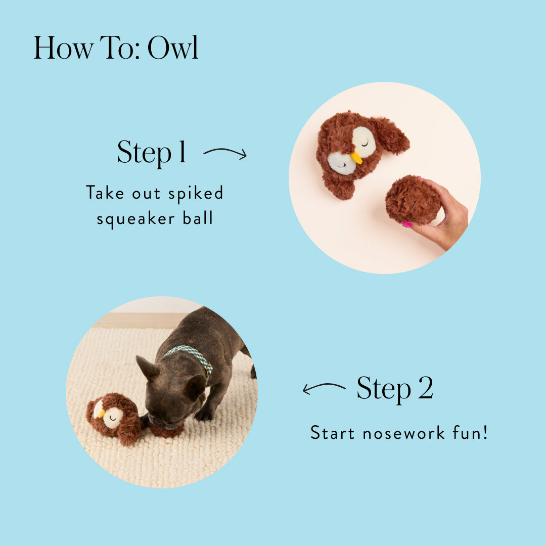 Owl 2-in-1 Bounce Dog Toy from The Foggy Dog