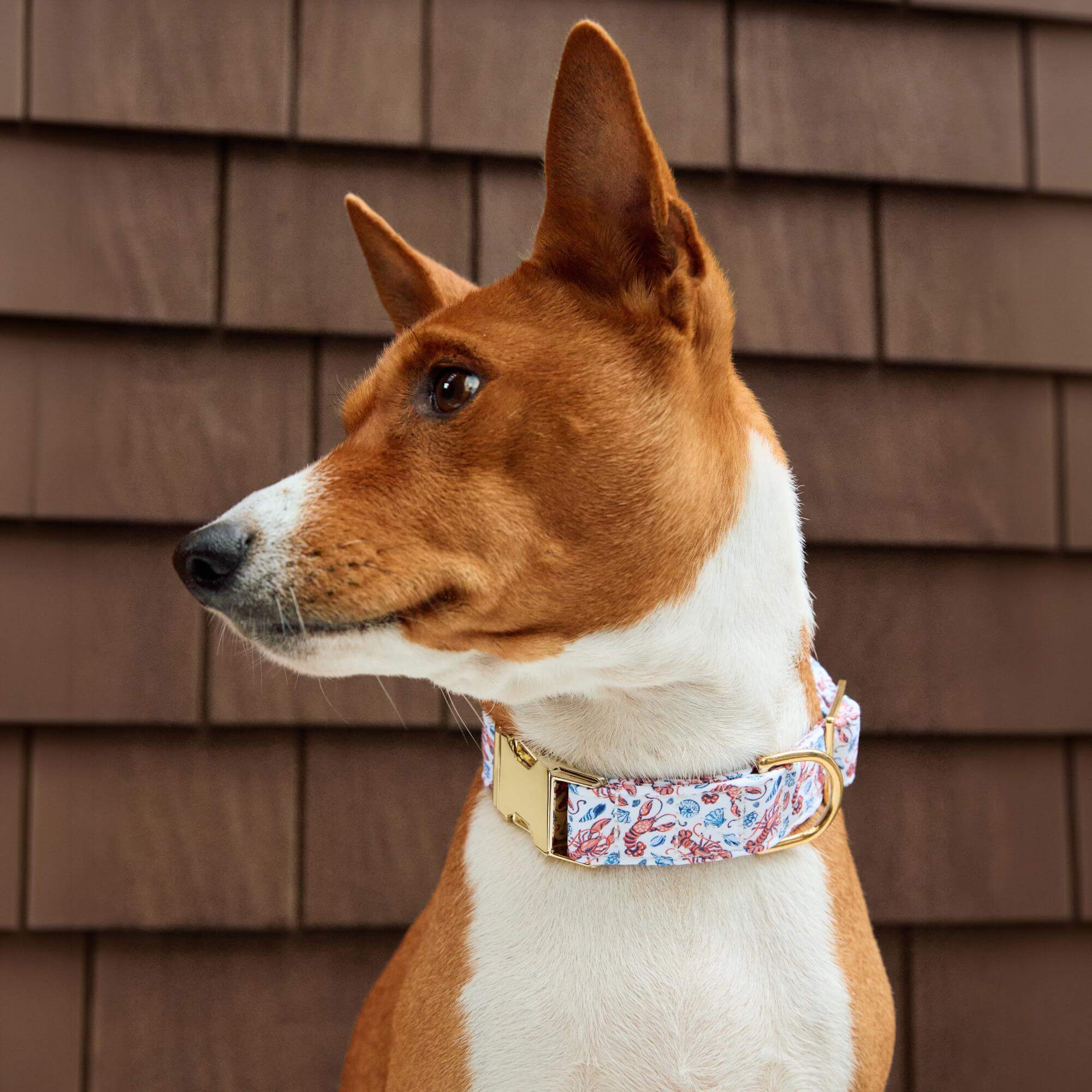 Printfresh x TFD Lobster Landing – The Foggy Dog