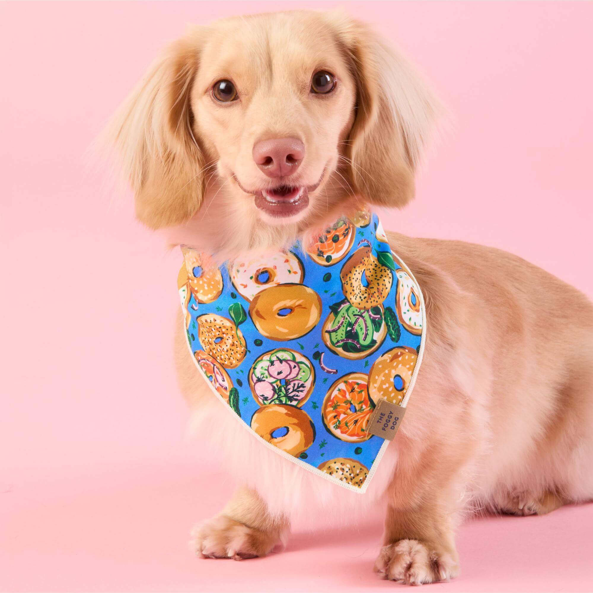 Printfresh x TFD Bagels & Schmear Dog Bandana – The Foggy Dog